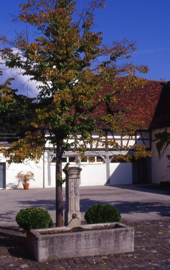 Markgraeflich Badischer Gasthof Schwanen Salem  Eksteriør bilde